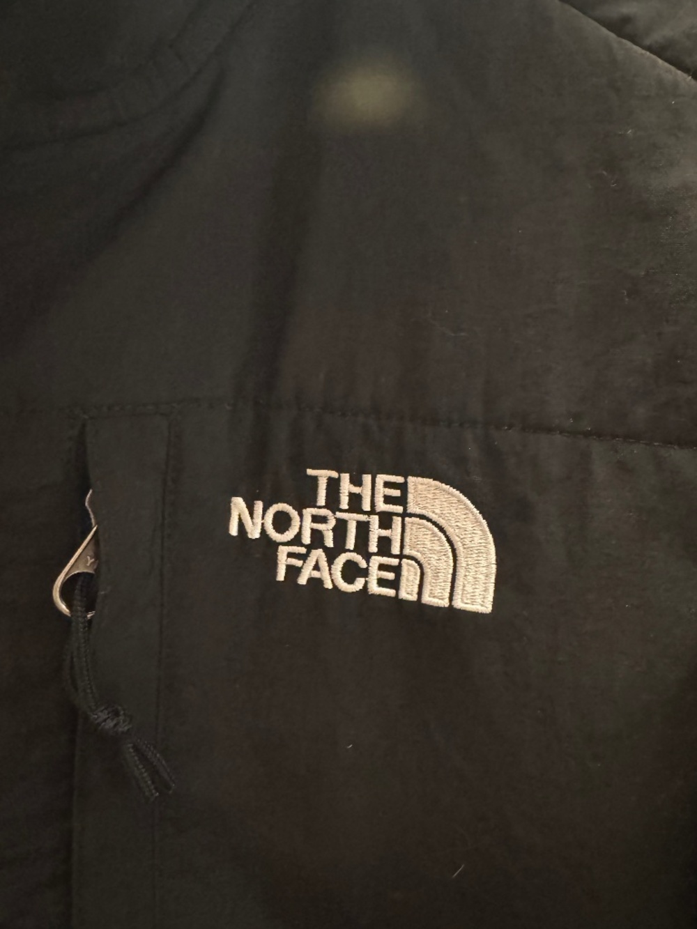 The north face jacket
